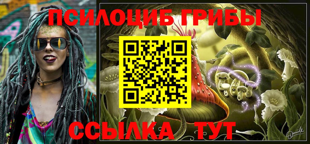 Псилоцибиновые грибы Magic Shrooms  Вход с VPN  Нурлат  Псилоцибиновые грибы MAGIC MUSHROOMS 